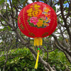 Chinese new year lantern