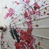 Chinese paper parasol - white cherry blossoms