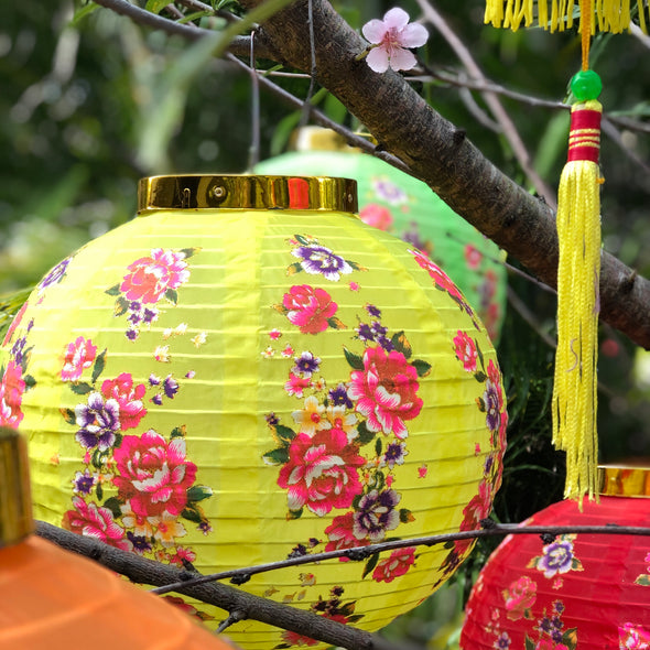 Chinese flower lantern