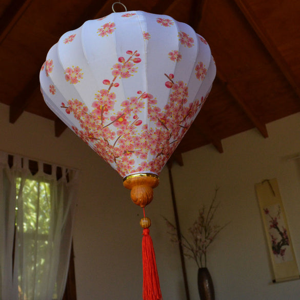 Vietnamese Lanterns