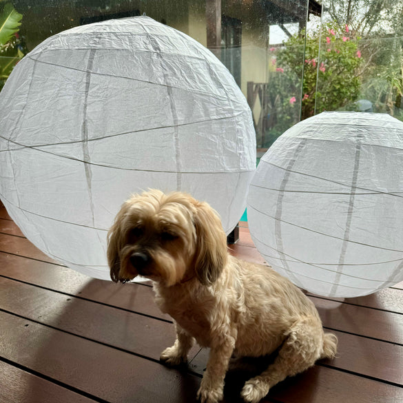 Irregular ribbed paper lanterns