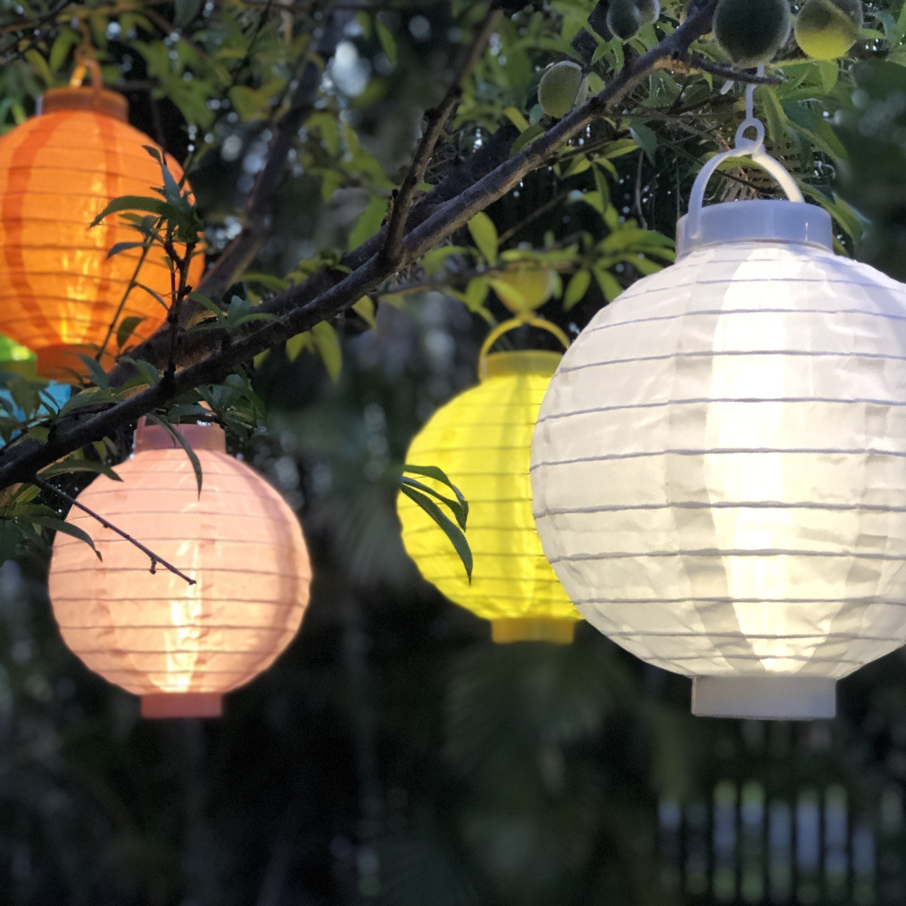 LED Lanterns (lighting included) lanternshop