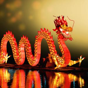 year of the dragon