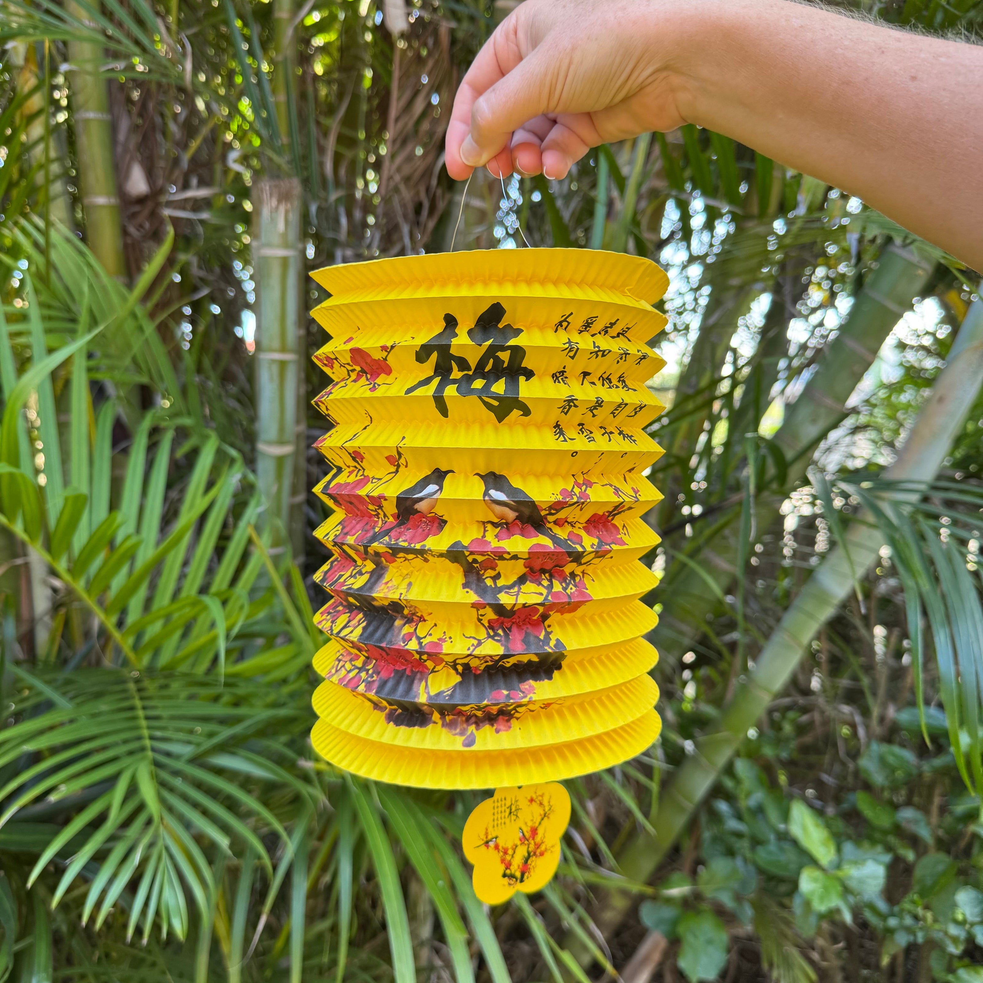 plum blossom paper lantern