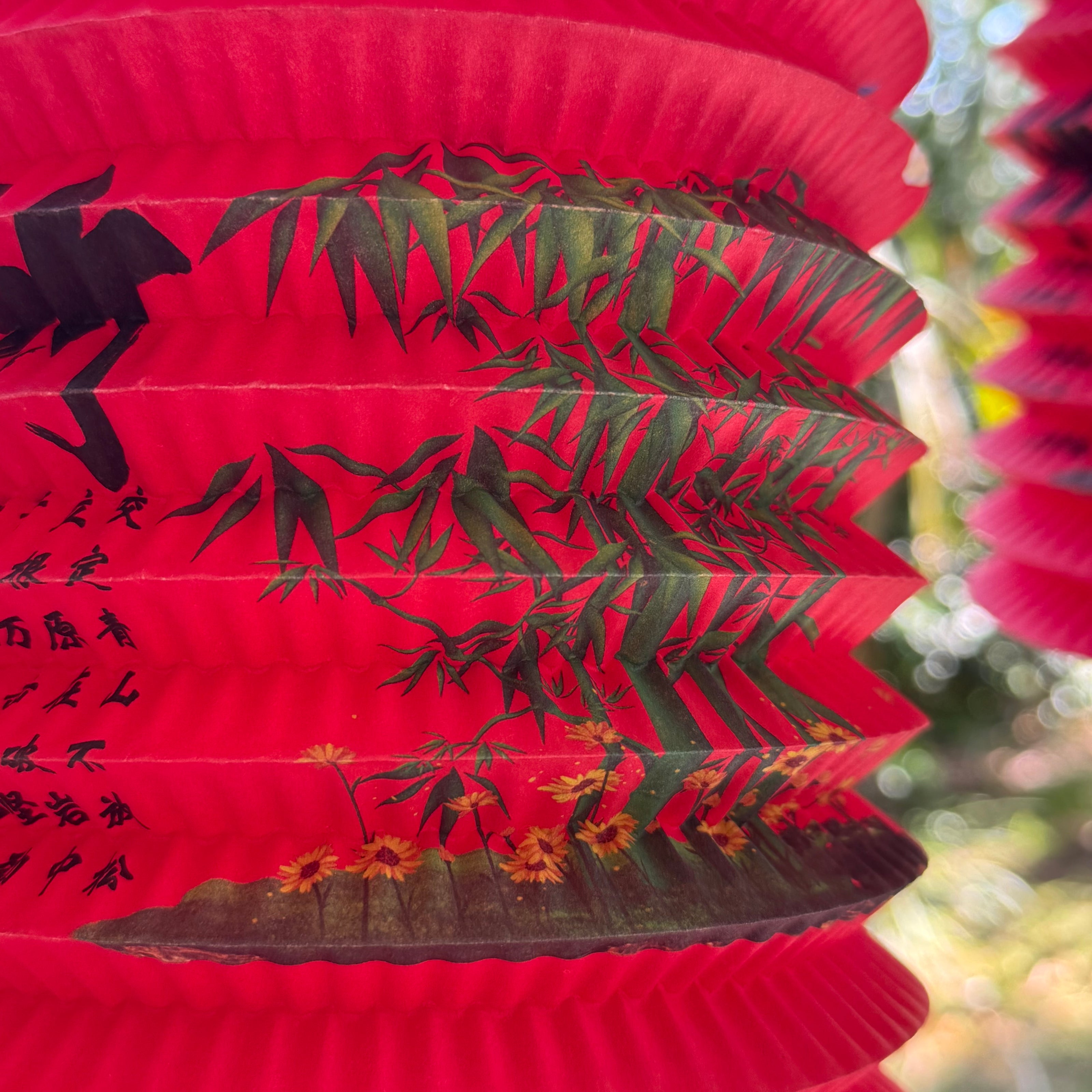 red Chinese lantern