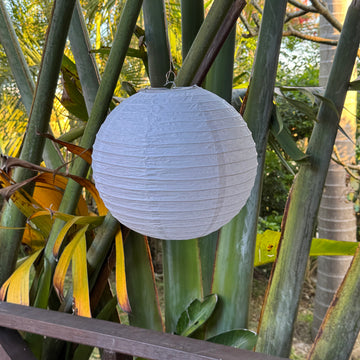 white paper lantern