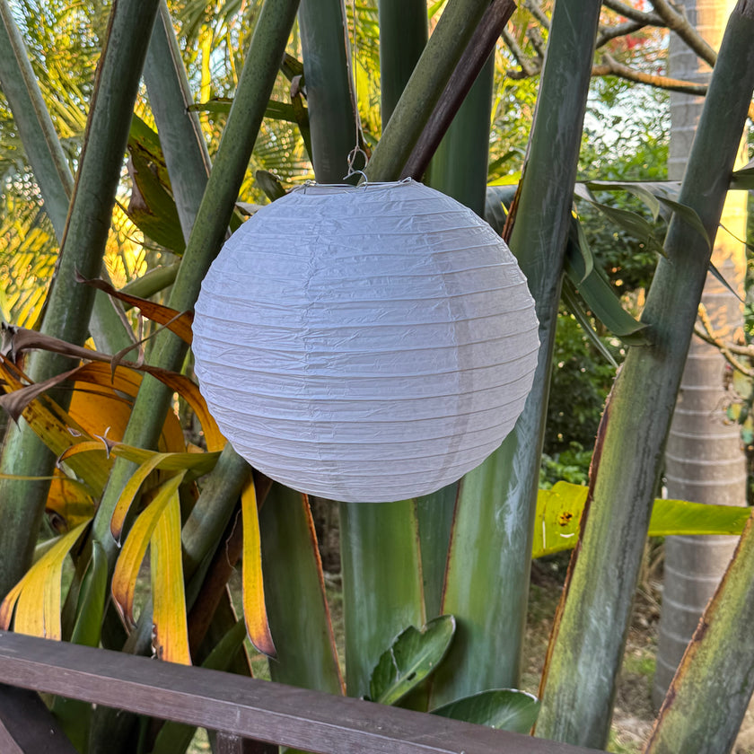 white paper lantern