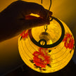 Chinese lantern