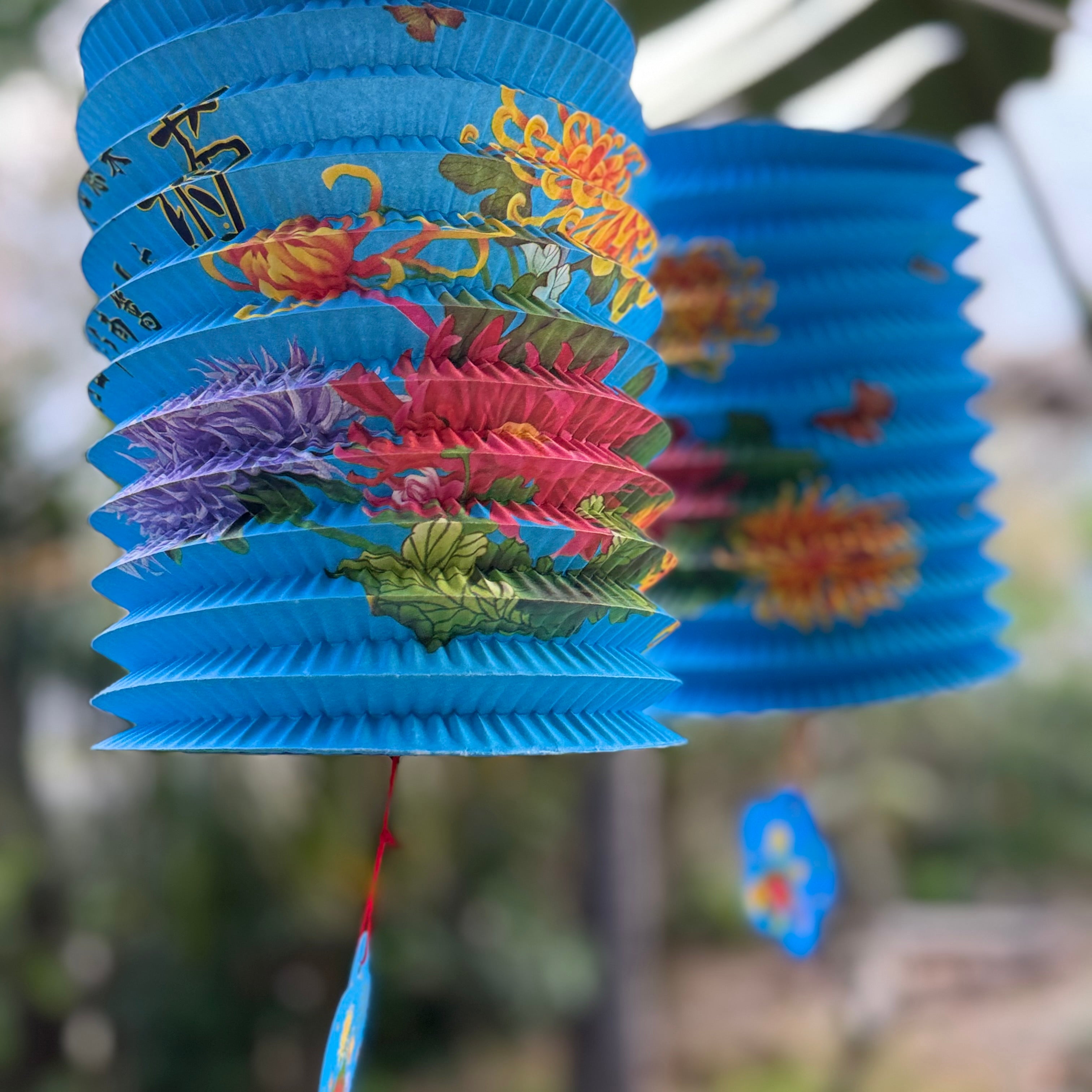 Chinese paper lantern