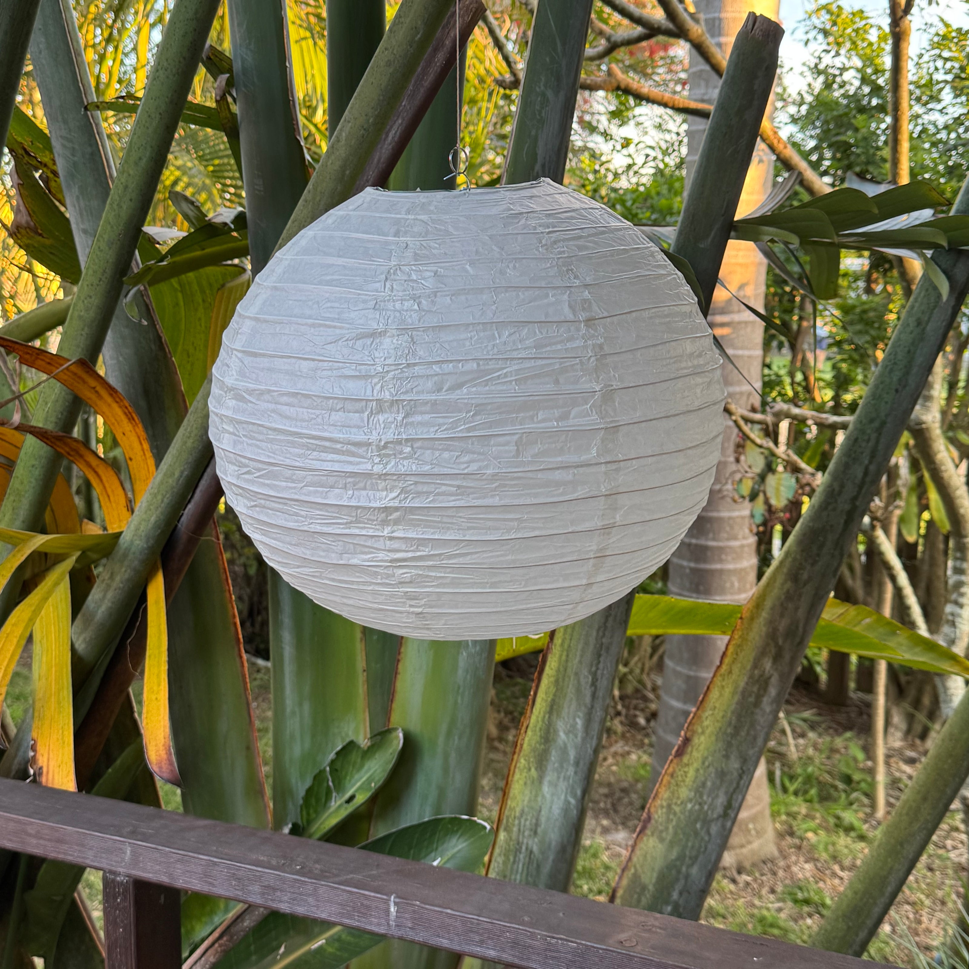 ivory paper lantern