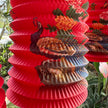 Chinese peacock lantern