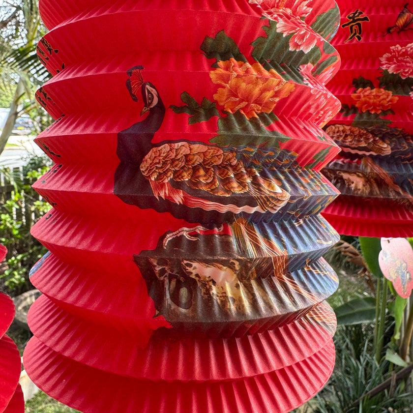 Chinese peacock lantern