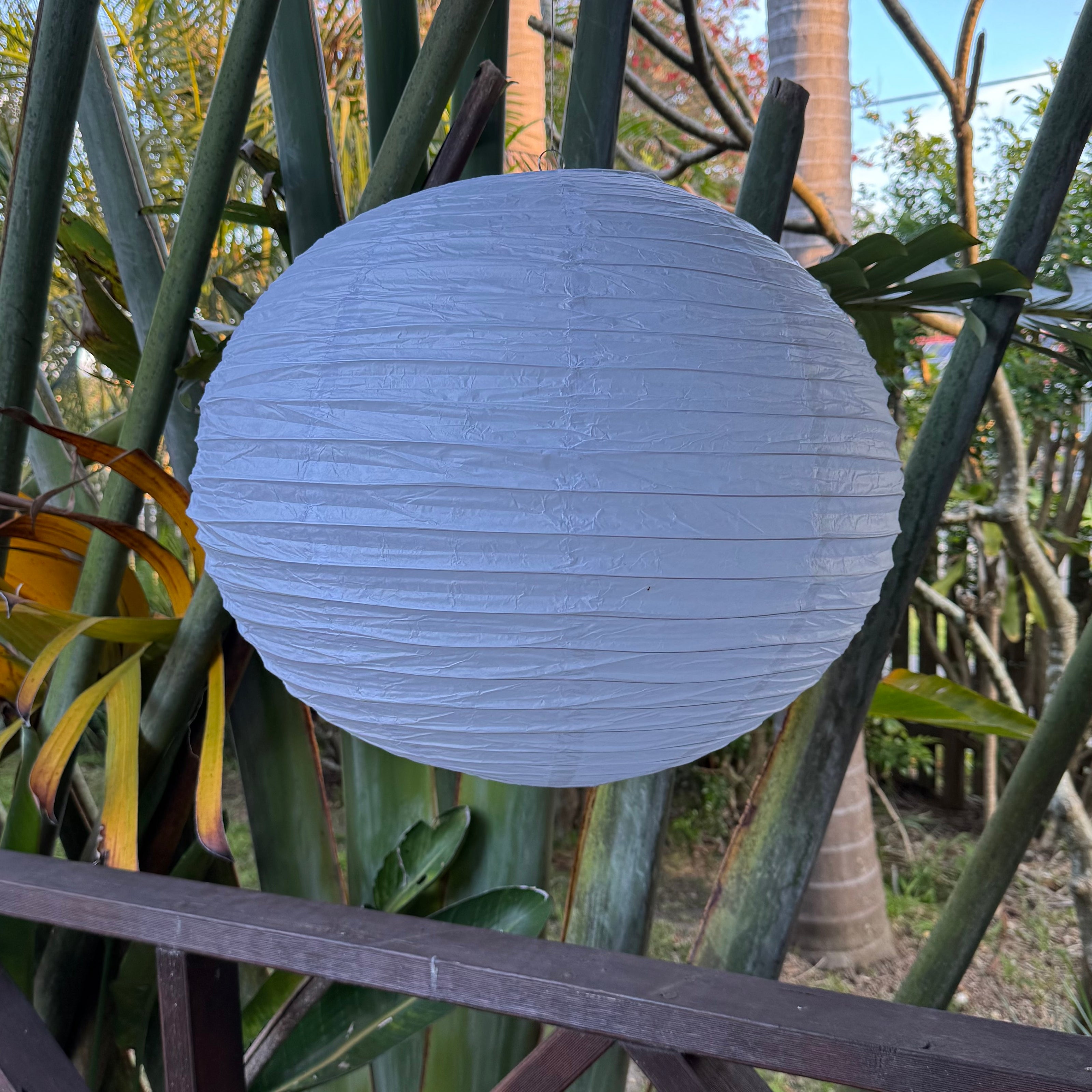 white paper lantern