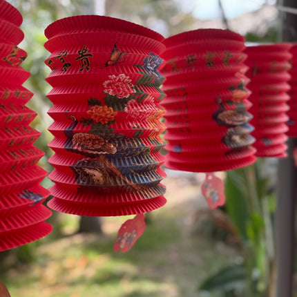 Red Chinese lanterns