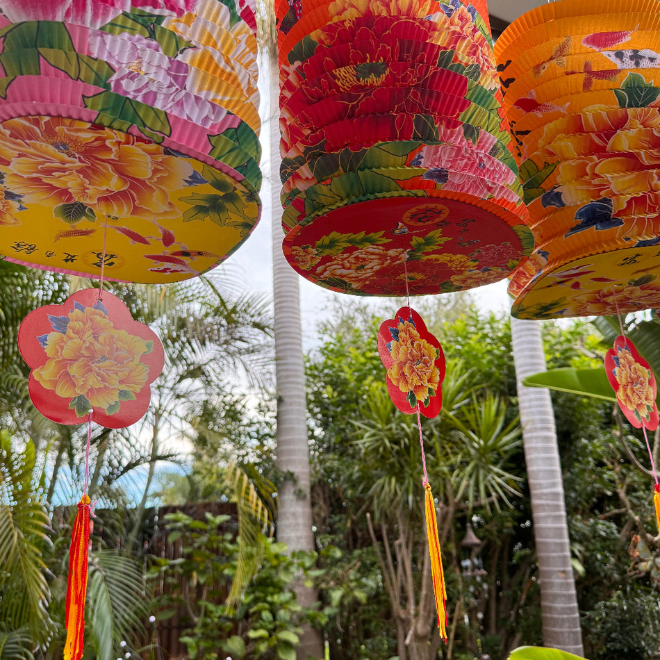 Chinese lanterns 5
