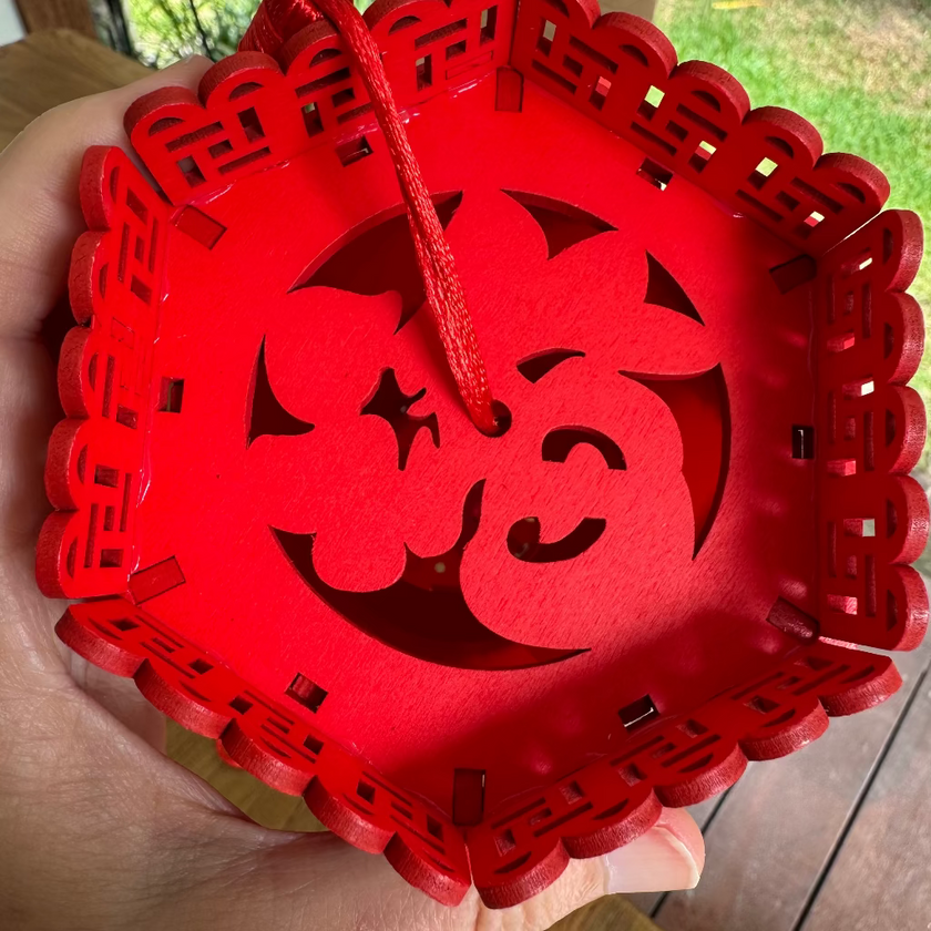 FU characters on Chinese lantern