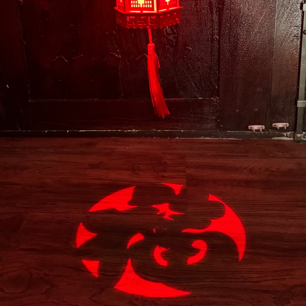 illuminated FU design Chinese lantern