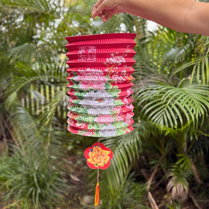 Chinese paper lantern