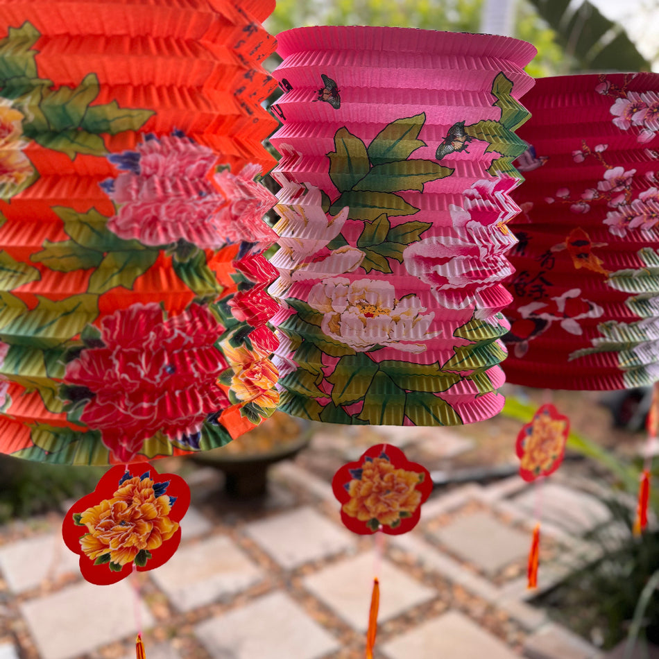 Chinese paper lanterns 6