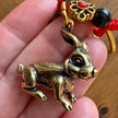 Chinese rabbit