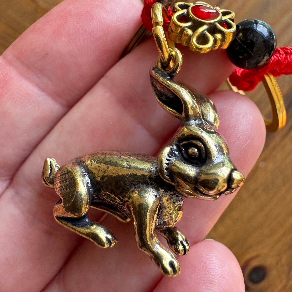 Chinese rabbit