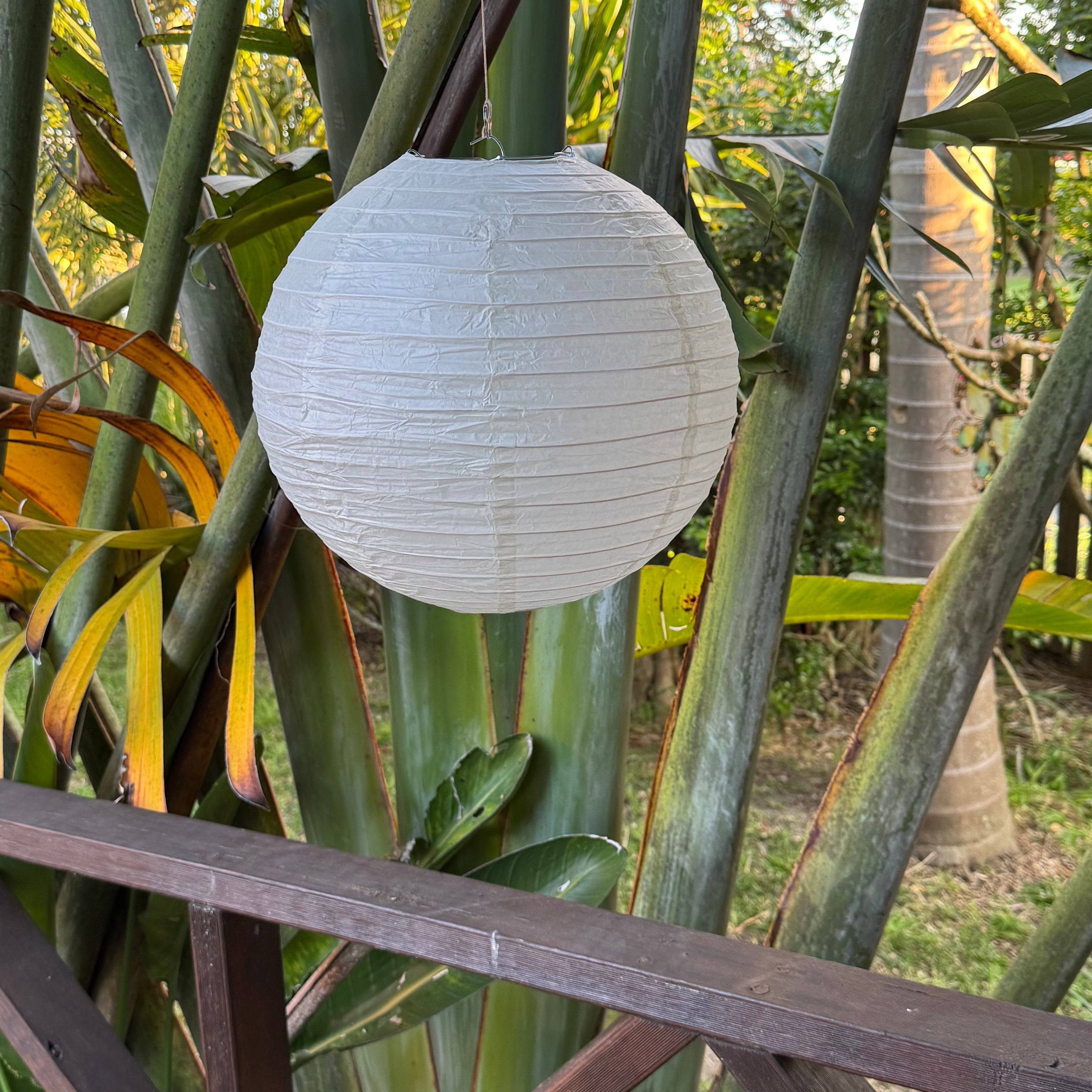 ivory paper lantern
