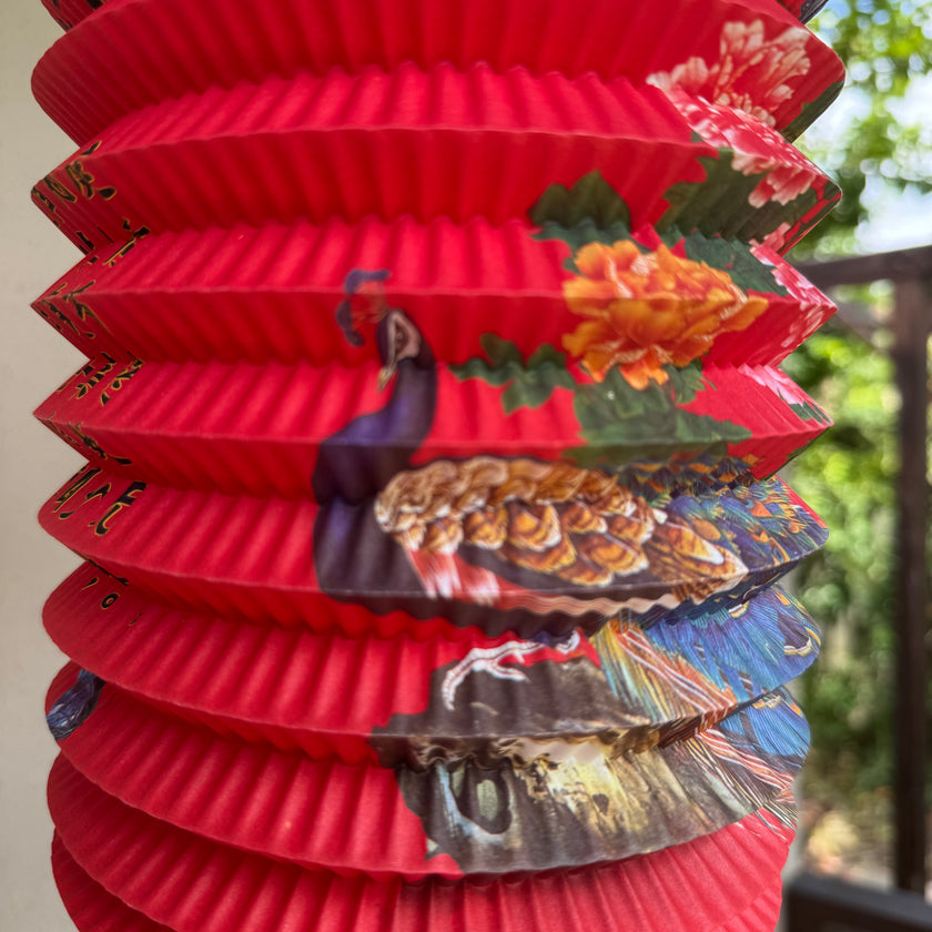 Chinese new year lantern