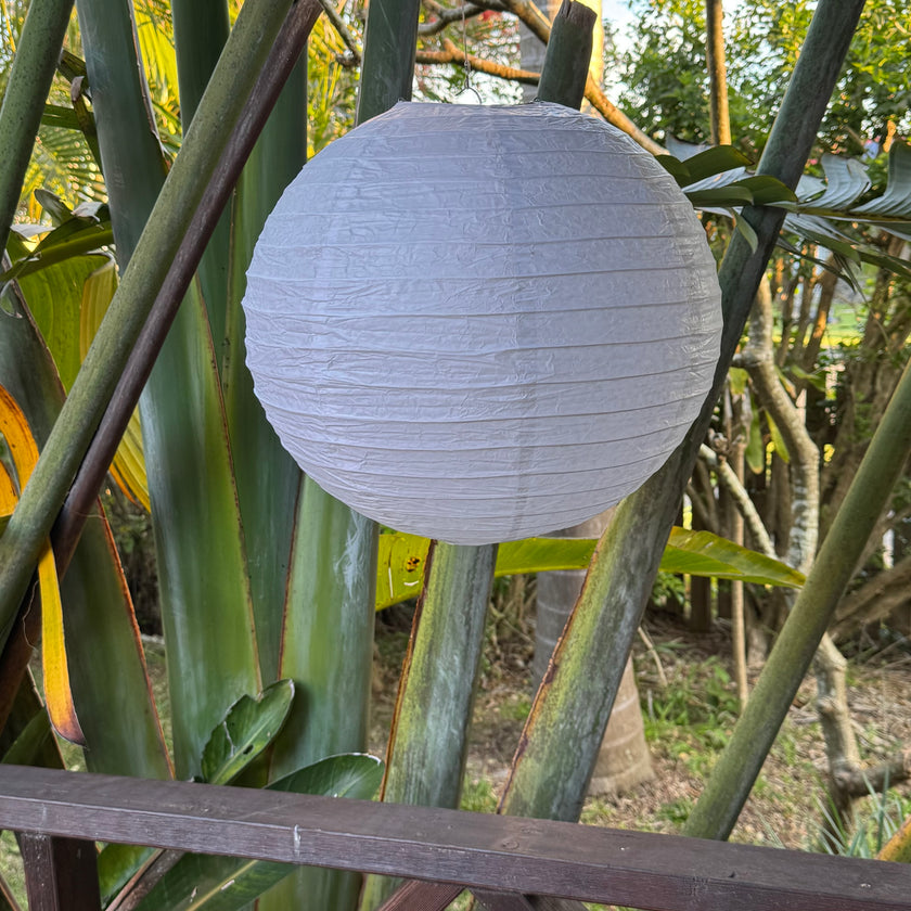 white paper lantern