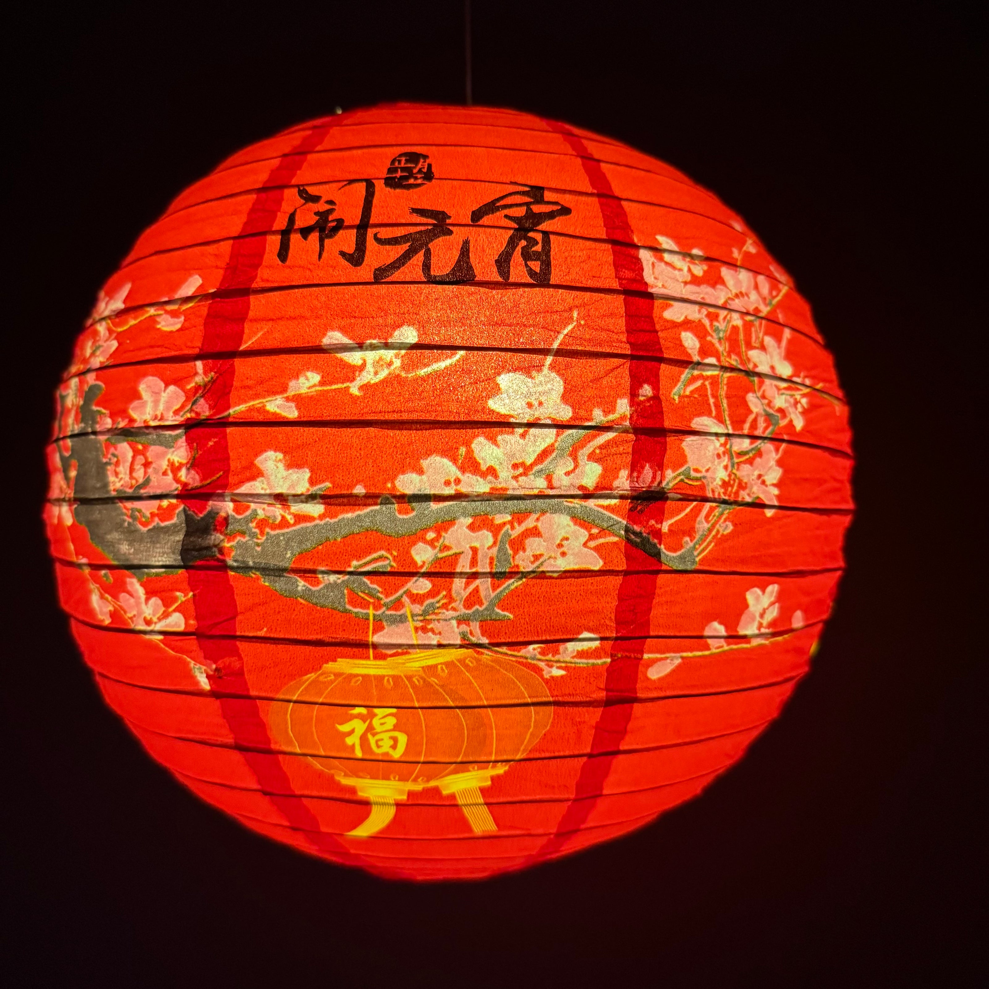Chinese lantern