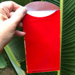 Chinese red packet