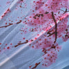 cherry blossom parasol