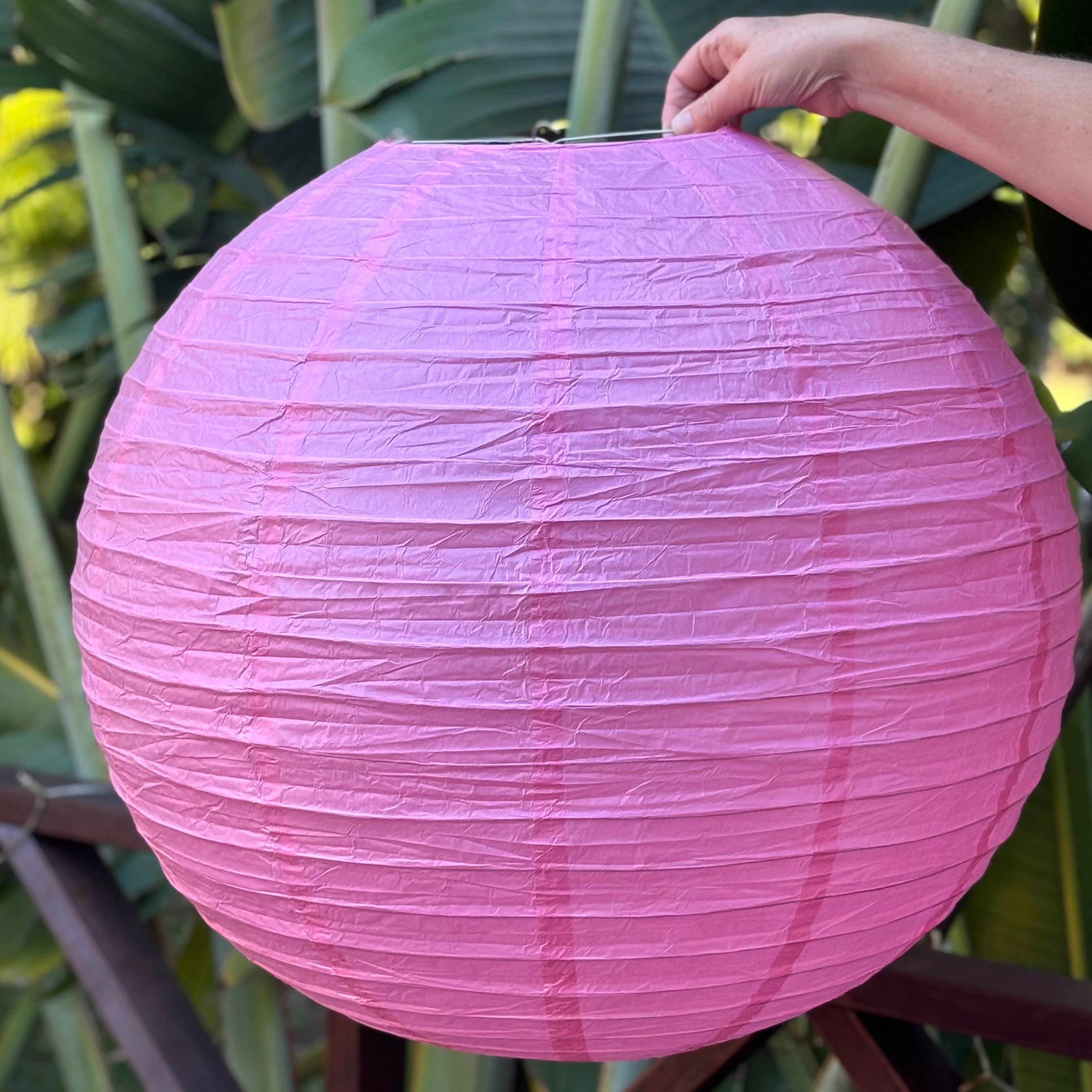 pink paper lantern