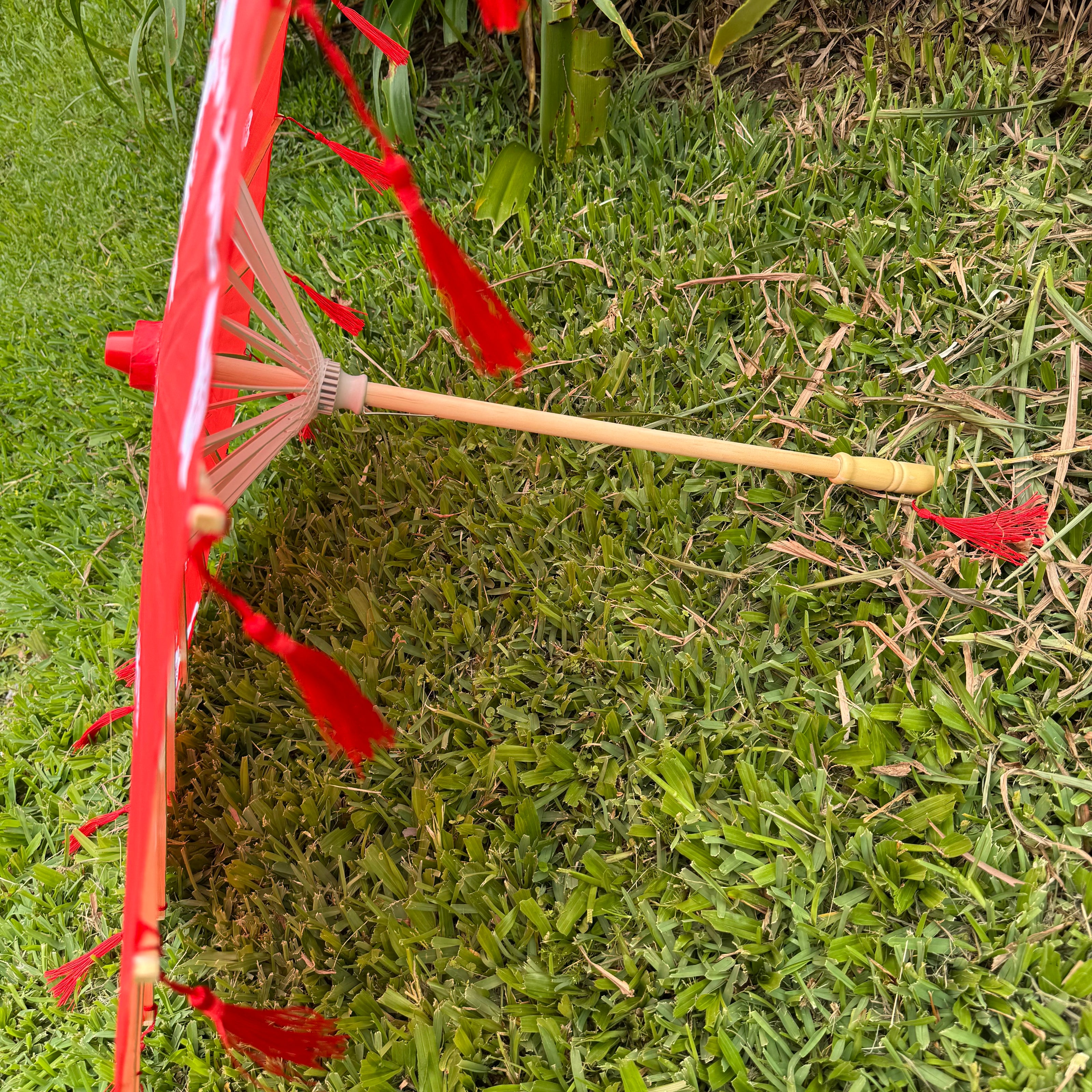 Chinese umbrella