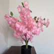 pink cherry blossom tree