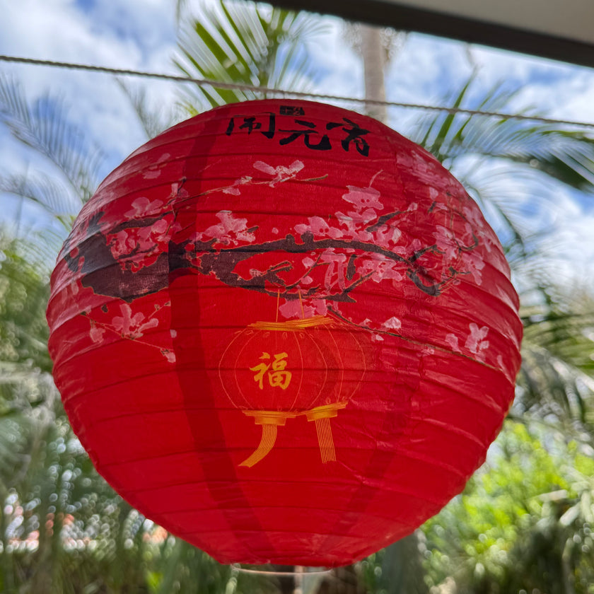 Chinese new year lantern