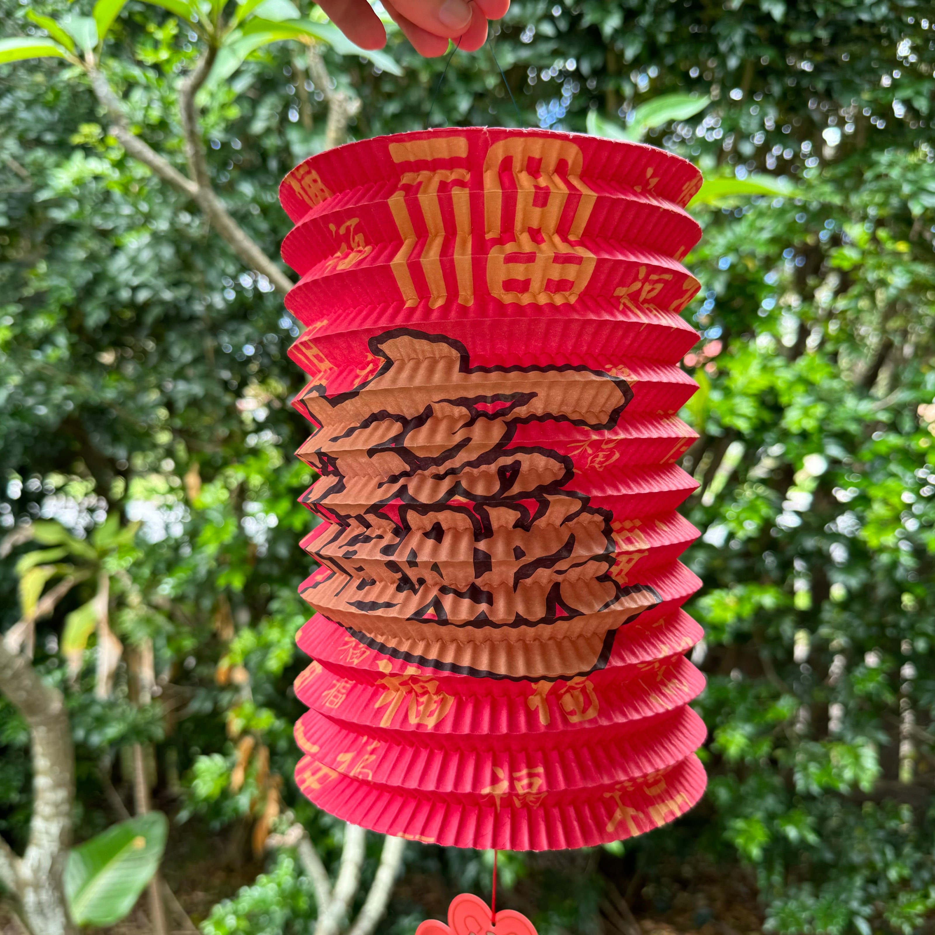 Prosperity lantern