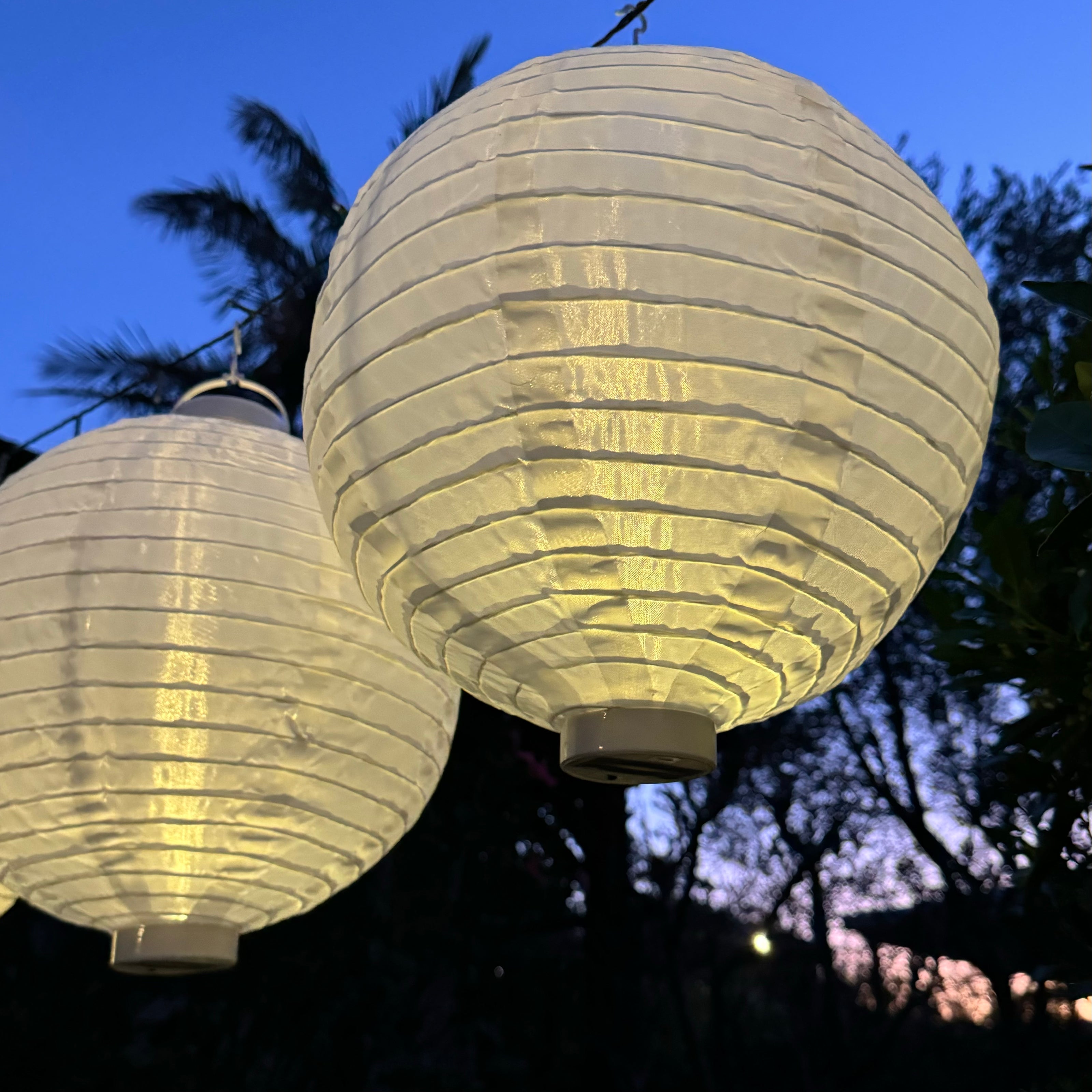 white wedding lantern 