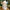 Large White LED Lantern with warm white fairy lights (13 x 31cm)