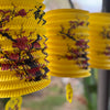 Chinese plum blossom lantern