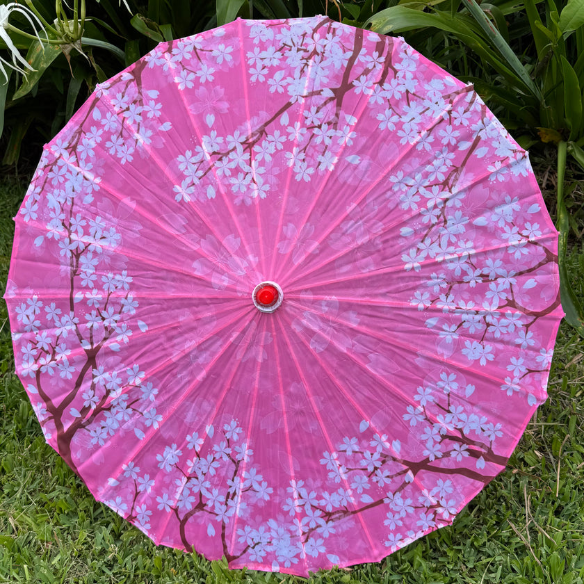 pink cherry blossom parasol