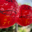 Chinese lanterns
