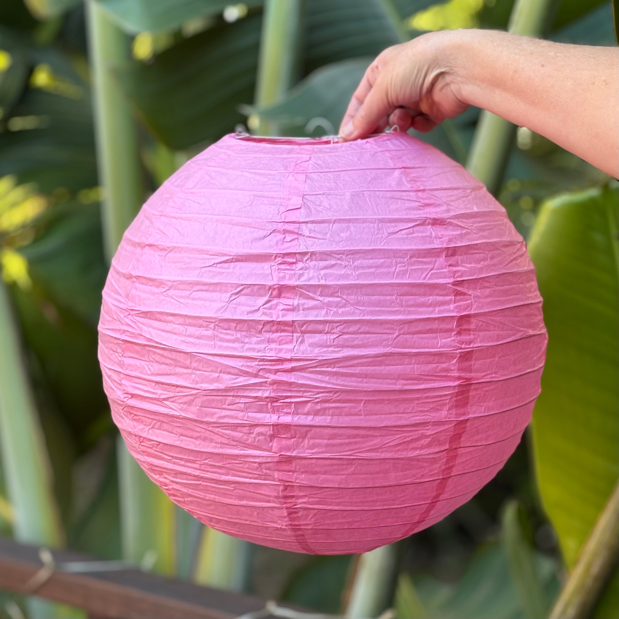 pink paper lantern