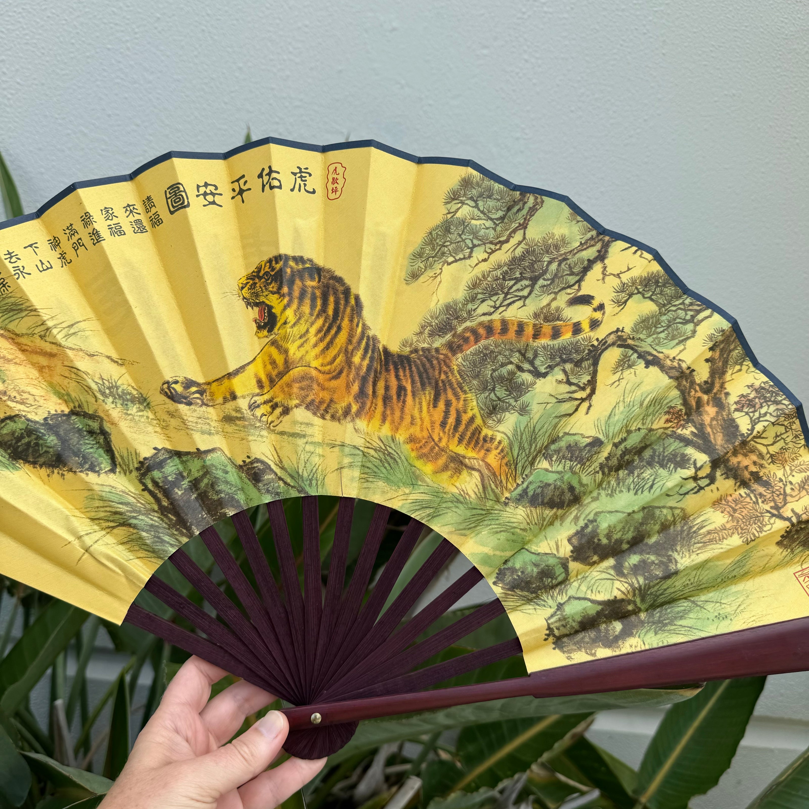 Chinese fan