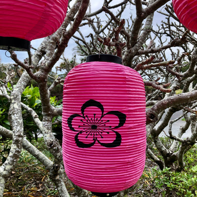 pink lantern