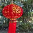 Chinese lantern