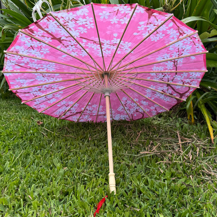 Chinese Cherry blossom parasol