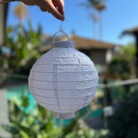 battery operated paper lantern
