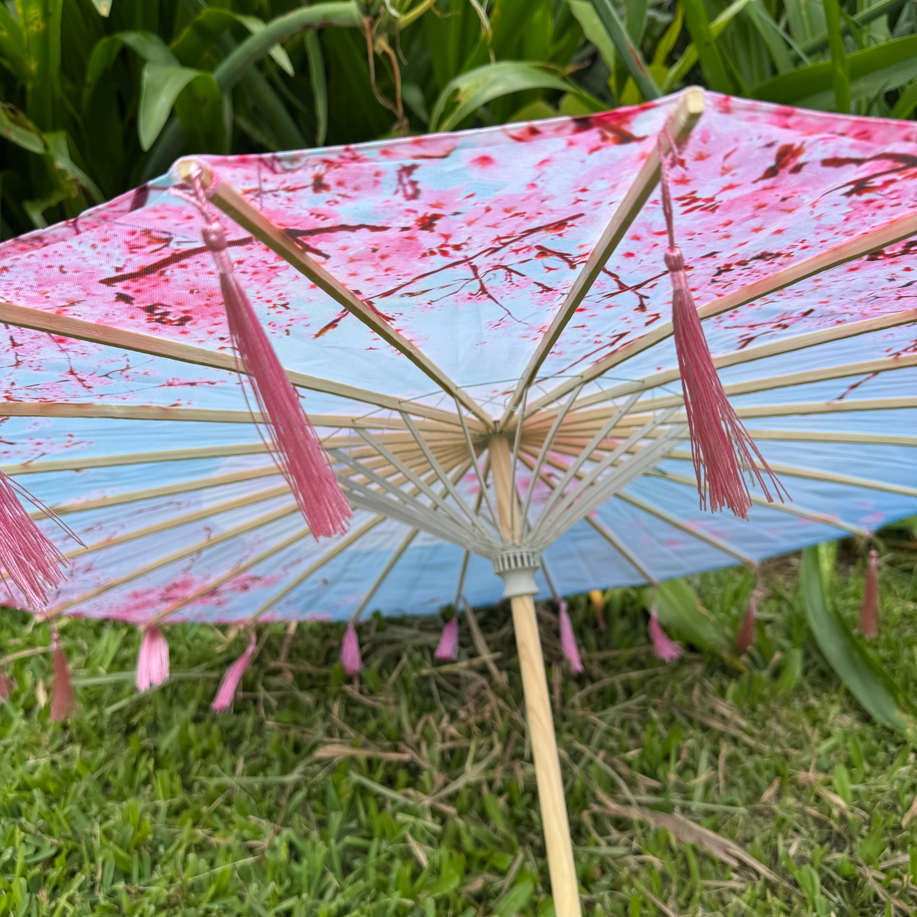 Japanese sakura parasol