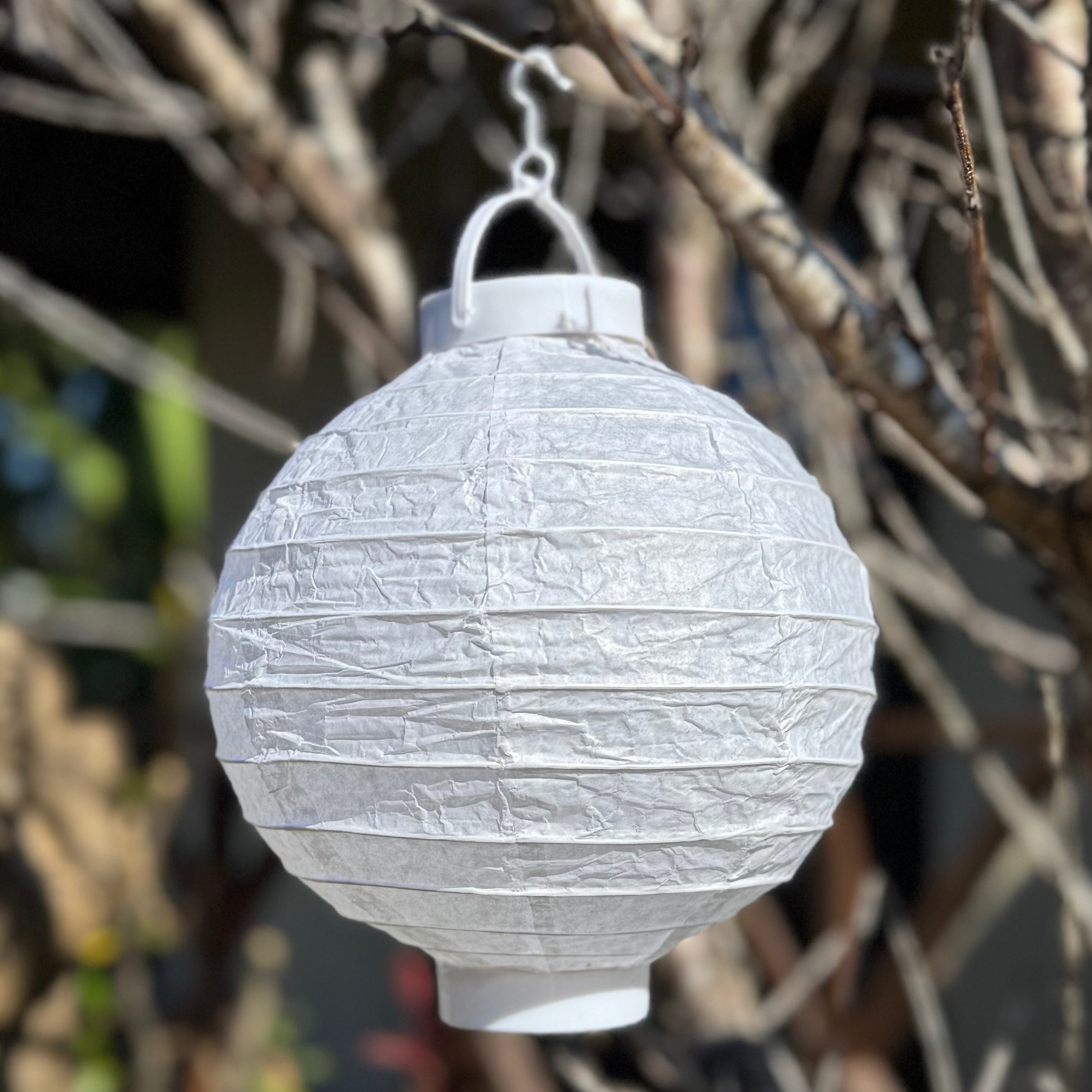 white paper lantern