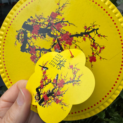 Chinese paper lantern